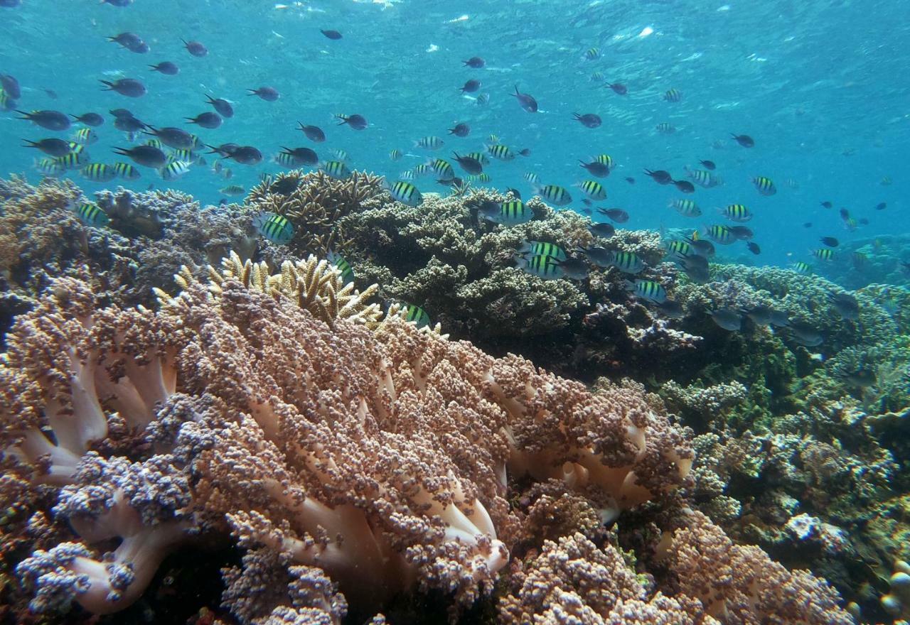 3Will Bunaken Dive Resort 外观 照片